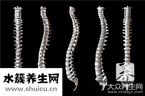治疗脊柱侧弯