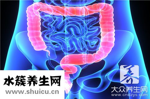 肠镜前饮食