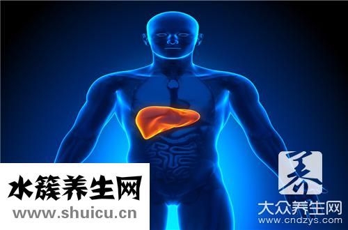 肝内高回声结节