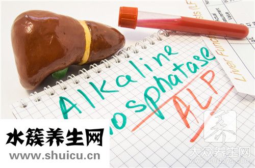肝右叶