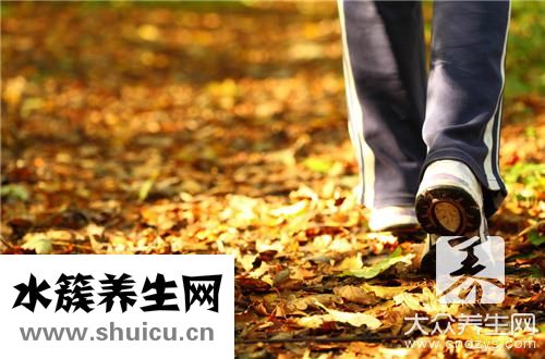 快走速度