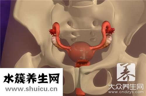 碎石治疗