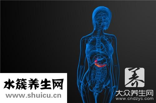 慢性胆囊炎吃什么药