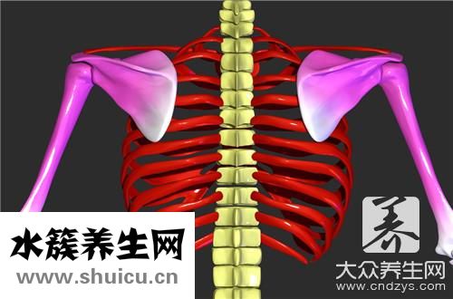 肋骨骨折吃什么好得快
