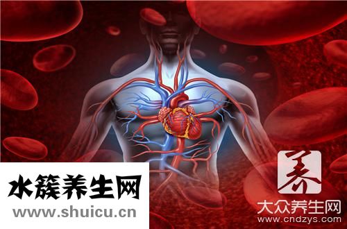 左边肋骨下是什么器官