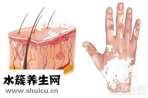 百殿风多长时间扩散
