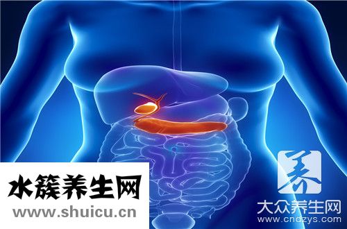 胆结石吃什么可以化掉