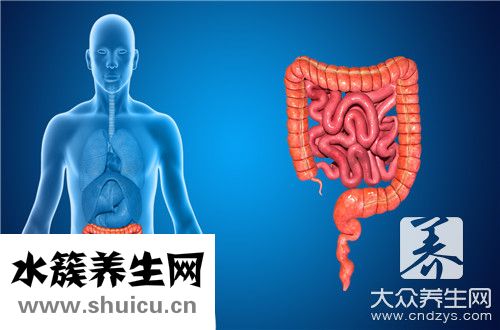普通肠镜