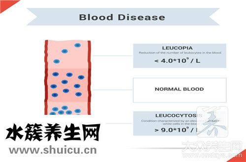 白细胞数目偏低