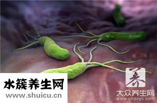 幽门螺旋杆菌指标