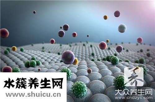支原体培养