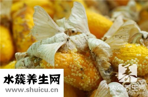 吃蚕蛹过敏