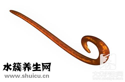 人感染弓形虫