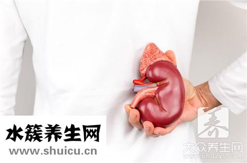 金钱草治结石