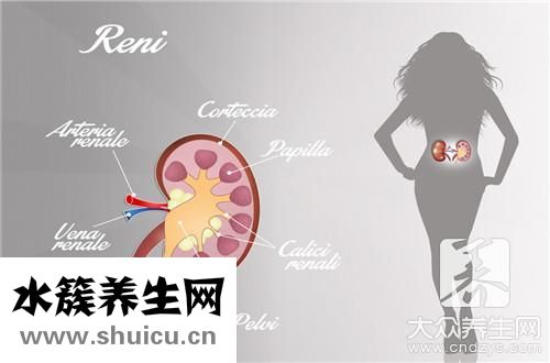 金钱草治结石