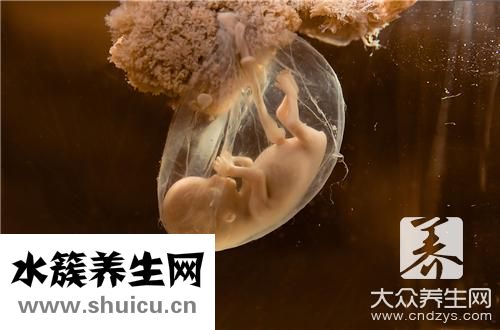 完全性葡萄胎