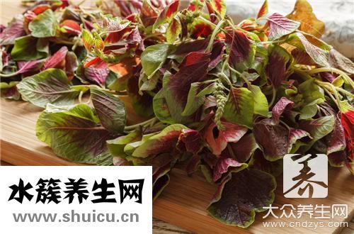 马齿苋治白斑