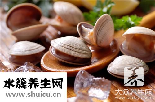 扇贝营养价值