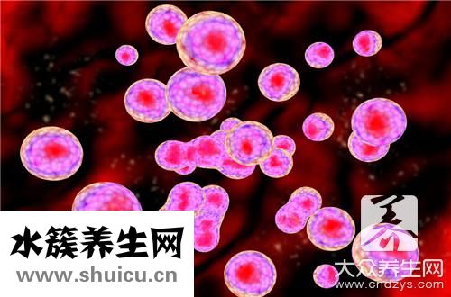 血红蛋白含量