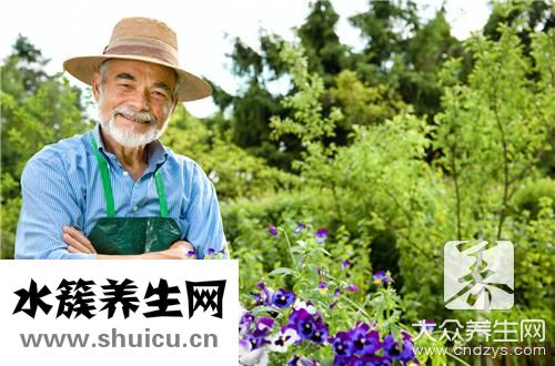 金银花作用