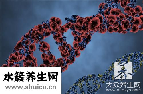 支原体检测