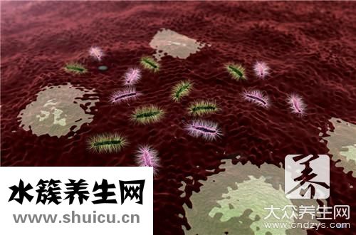 支原体检测