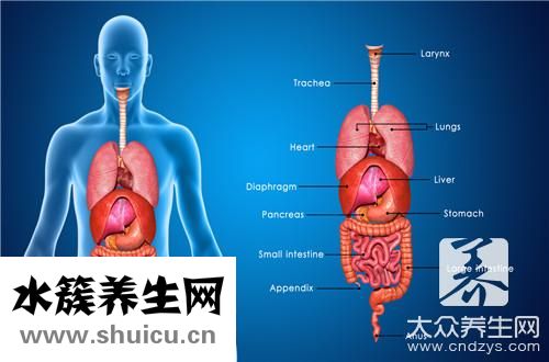 胆碱酯酶正常值
