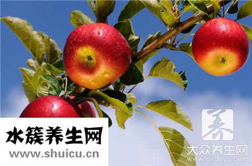 菠萝蜜保存