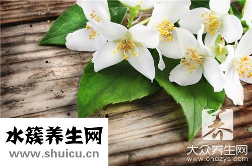 茉莉茶叶功效与禁忌
