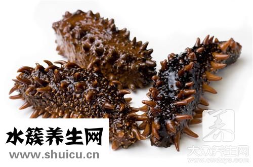 发好海参保存