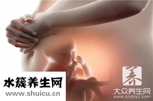 胎盘补肾