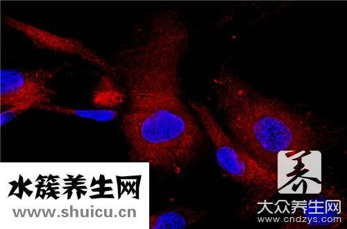 视神经脊髓炎症状