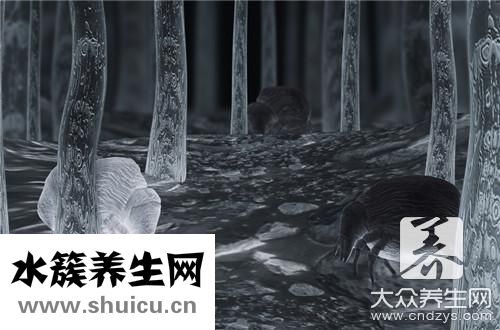 头皮有螨虫去除