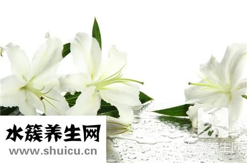 冰糖梨水功效与作用