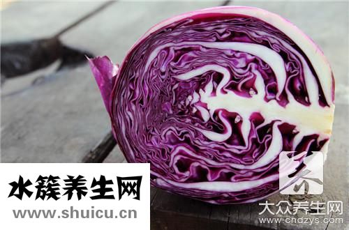 卷心菜和包菜区别