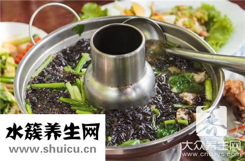 紫菜是海苔吗