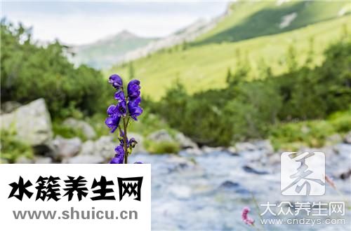 狗尾巴作用