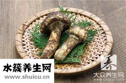松茸炖鸡汤