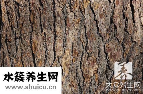 消灭白蚁简单有效方法