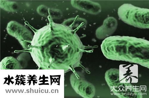 狂犬病毒传播途径