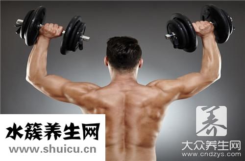 前臂肌肉