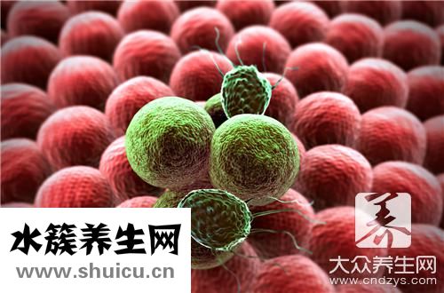 神经母细胞