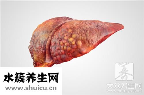 什么泡水可以清肝利胆