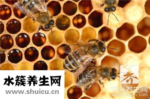 蜜蜂怕什么驱赶