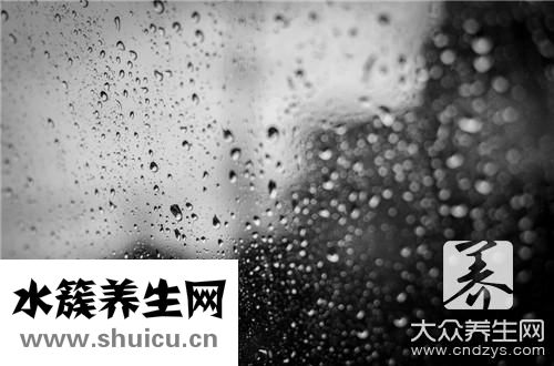 黑胶伞