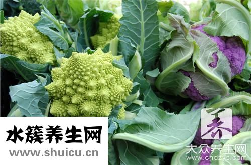 卧室养什么花好