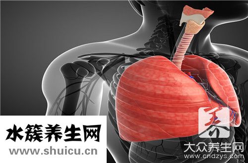 胸透主要检查什么