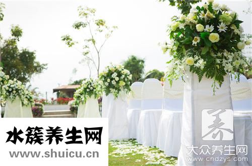 白掌有毒吗