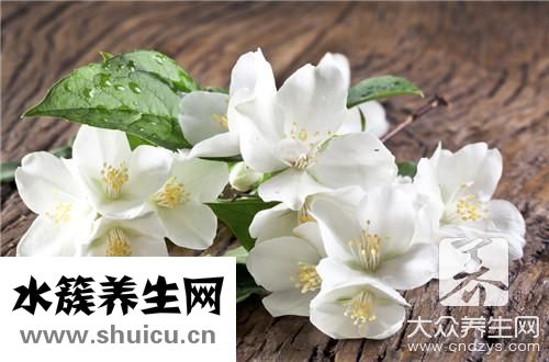 刺梅有毒吗