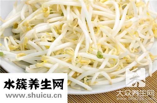发绿豆芽